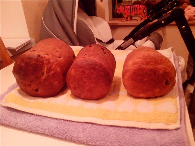 Kulich with Myasoedovskaya in the oven (master class)