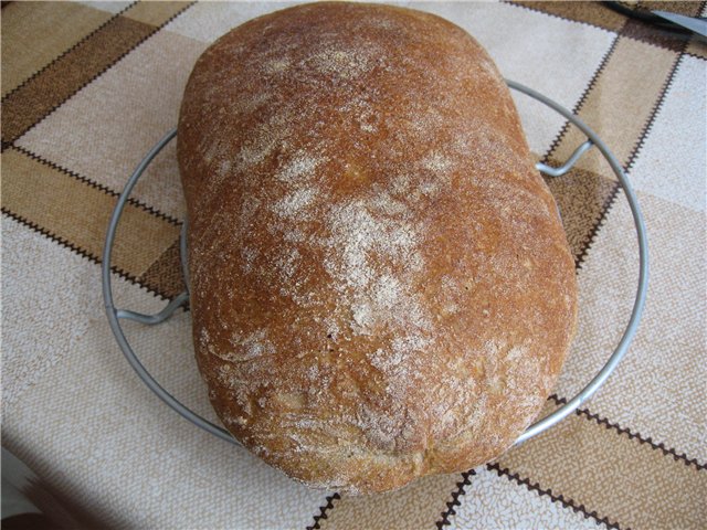 Ciabatta without kneading