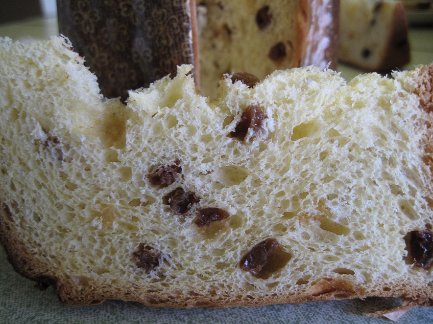 Panettone marki Calvel