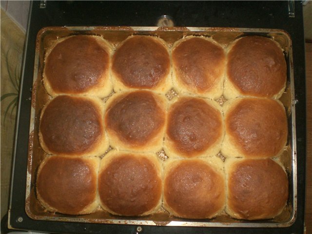 Buchteln buns (Buchtel) with cream filling