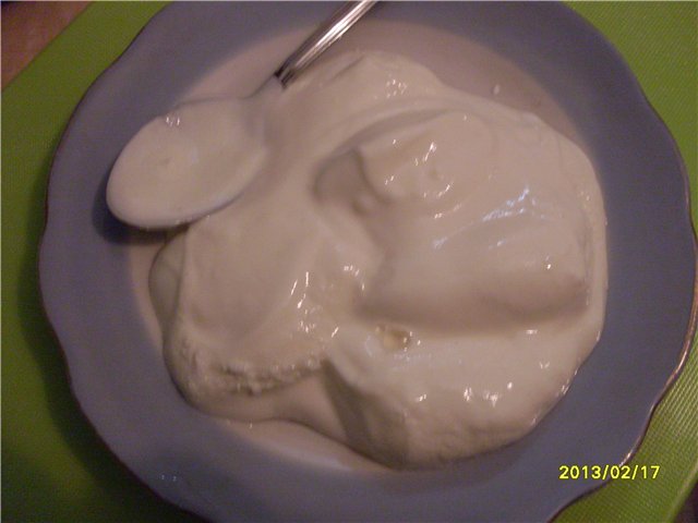 Yogur con cultivos iniciadores bacterianos (narine, VIVO, etc.) (2)