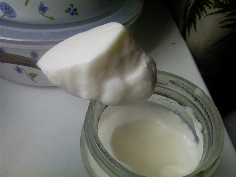 Yogur con fermentos bacterianos (narine, VIVO, etc.) (2)