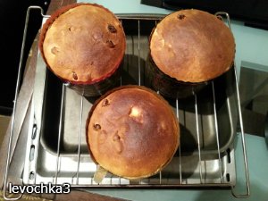 Torta di Pasqua sui tuorli (impastare in una macchina per il pane)