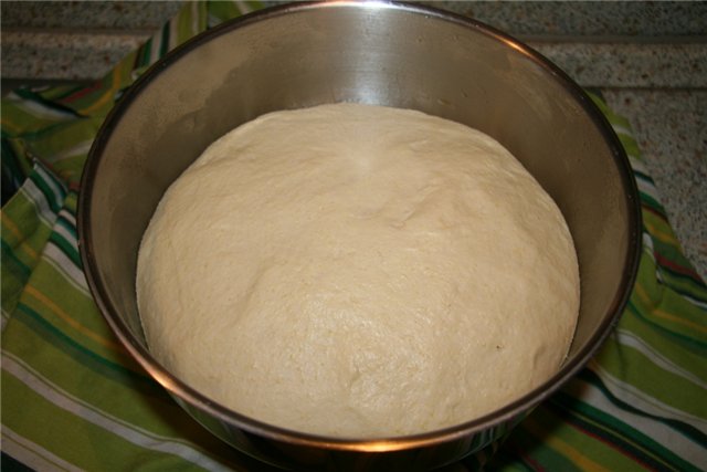 Anadama - Famous New England Bread (Peter Reinhart) (oven)