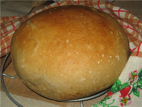 Pane di grano su pasta matura (autolievitazione)