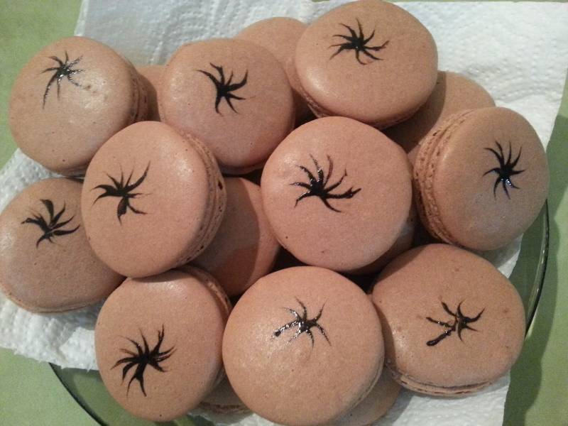 Macarons de Alain Ducasse