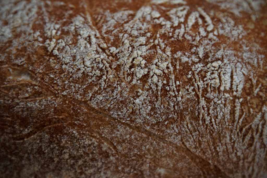 Pane vecchio di Como (Pane di Como Antico) nel forno