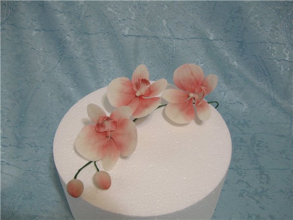 Torte di fiori