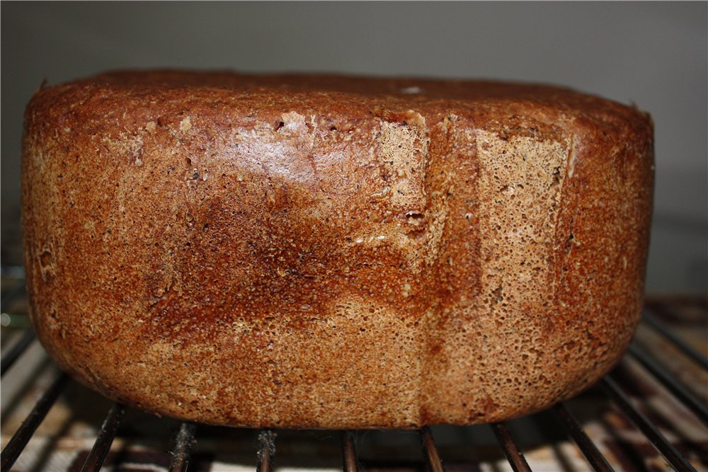 Pane di segale a lievitazione naturale in una macchina per il pane