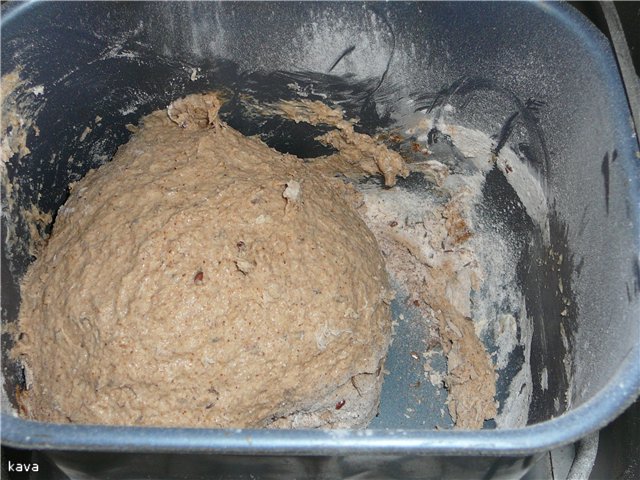 Pane alla contadina con spugna in una macchina per il pane