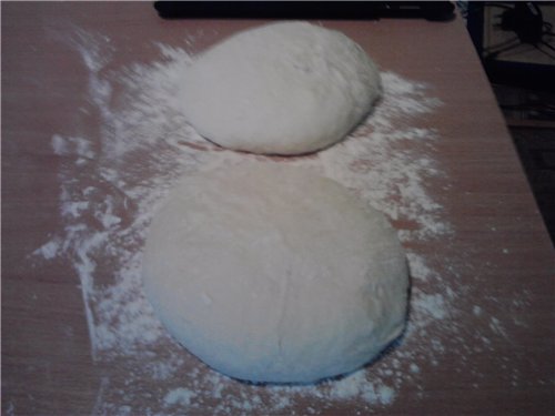 Pane vecchio di Como (Pane di Como Antico) nel forno