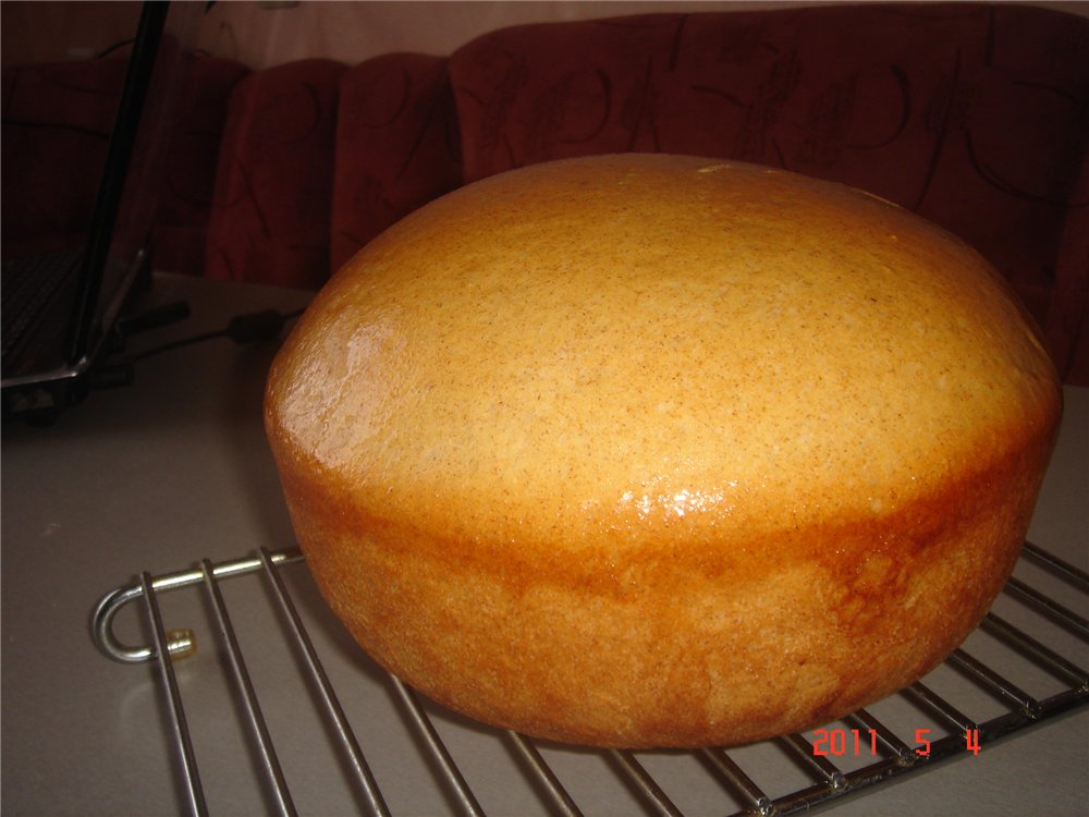 Pane alla contadina con spugna in una macchina per il pane