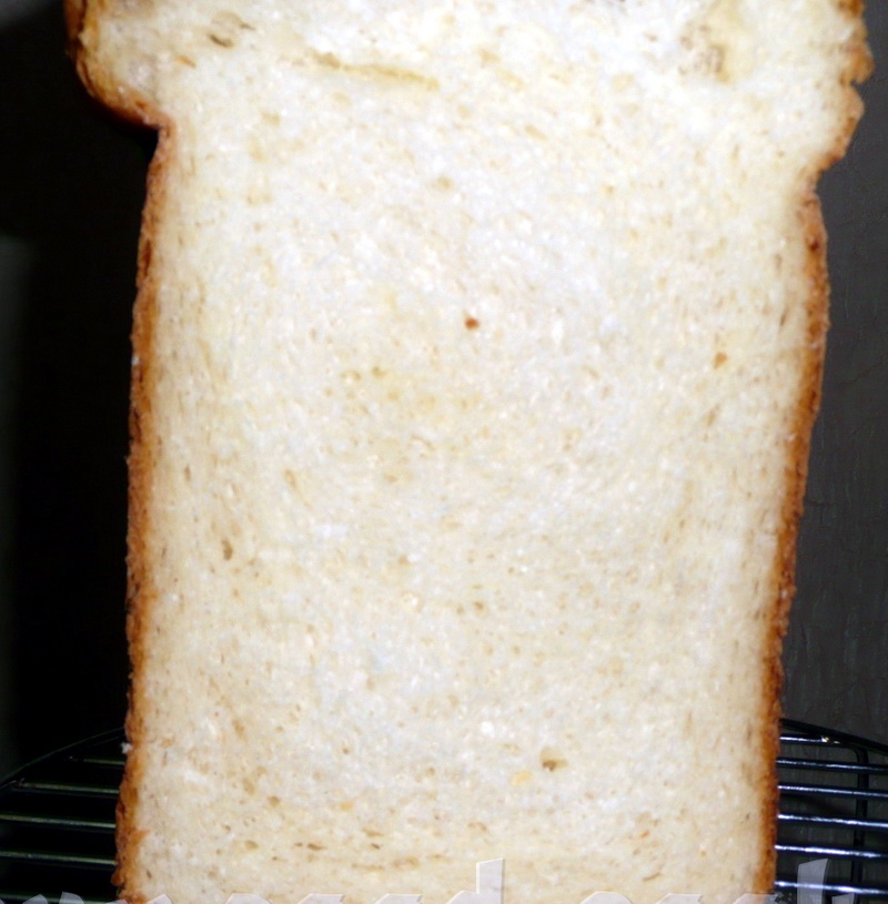 Pane di grano su kefir con formaggio in una macchina per il pane