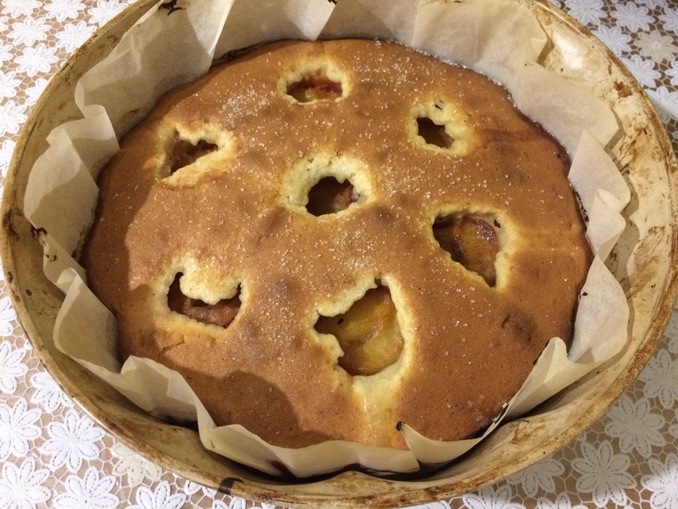 Torta di albicocche