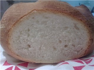 Pane di grano "ungherese" al forno