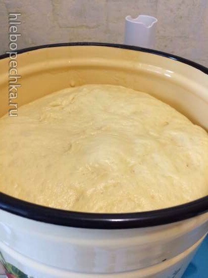 Kulich with Myasoedovskaya in the oven (master class)