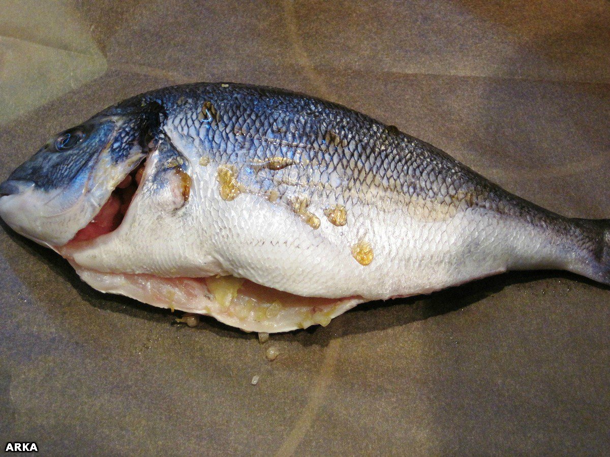 Pesce (dorada) in una busta