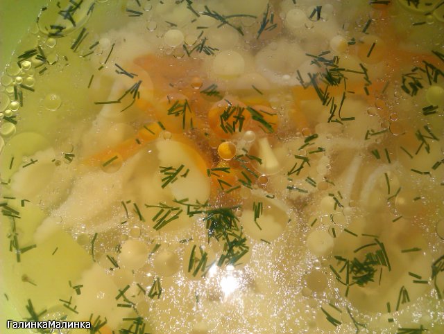 Caldo de pollastre (cucut 1054)