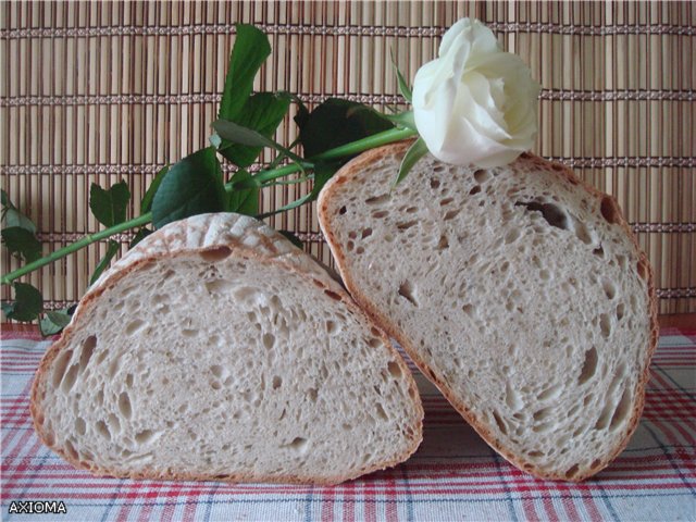 Italiaans brood (Ann Thibeault) in de oven