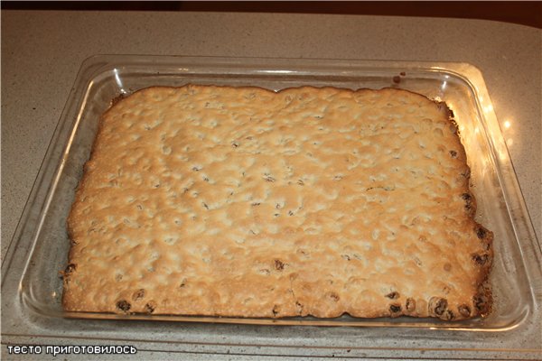 Gluten Free Raisin & Walnut Cookies