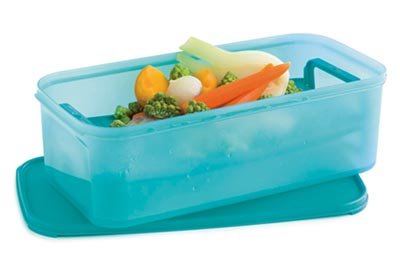 Tupperware จานพลาสติก - บทวิจารณ์