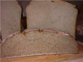 French modern sourdough (liquid)