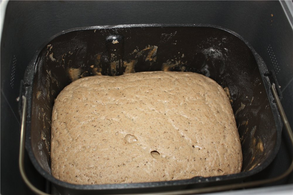 Sourdough rye bread in a bread maker