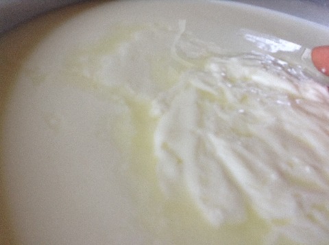 Crema - Mozzarella / Cecil - Ricotta / Philadelphia (master class)