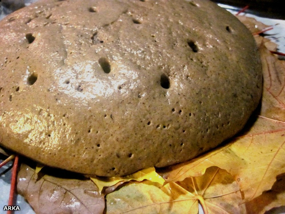 Rustiek vlabrood met zuurdesem