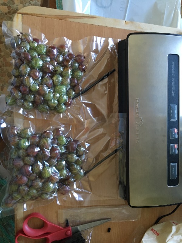 Vacuum packing machine