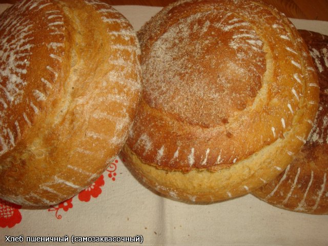 Pane di grano su pasta matura (autolievitazione)