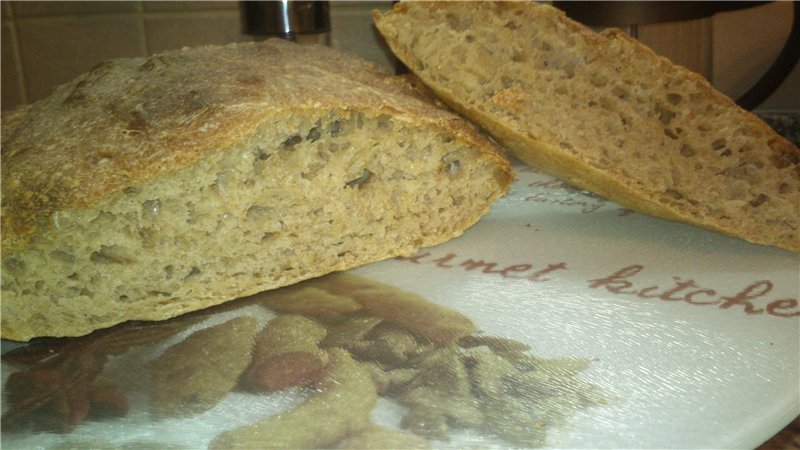 Whole Wheat 50:50 Impasto per Pane e Pizza (Peter Reinhart)