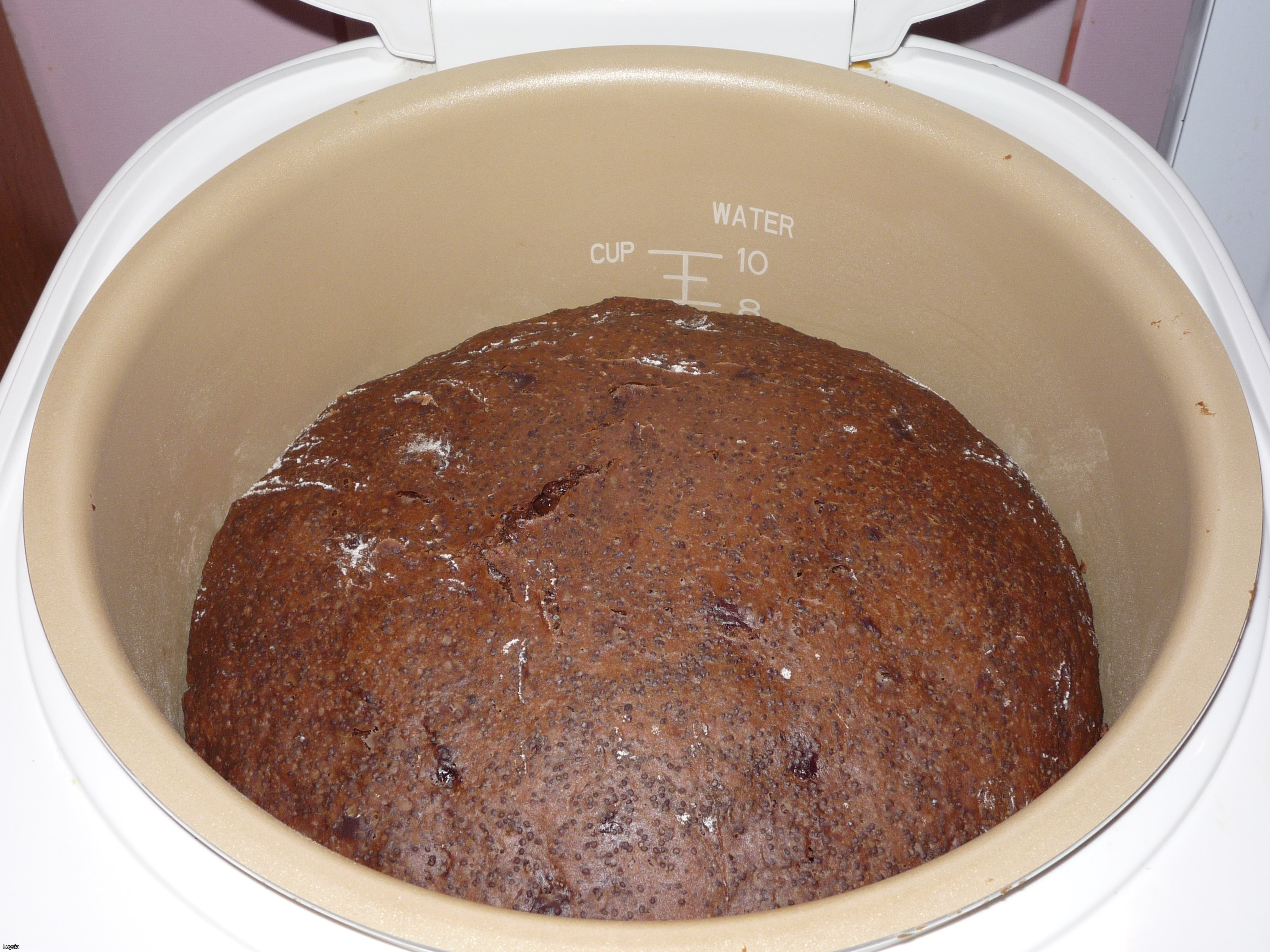 Pan de chocolate con cerezas y semillas de amapola