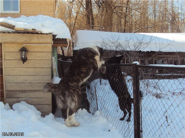 Home smokehouse with water seal