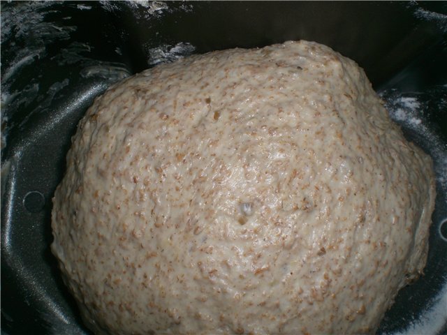 Pane grigio su birra leggera in una macchina per il pane