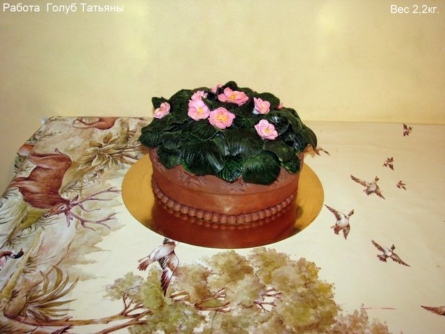 Torte di fiori