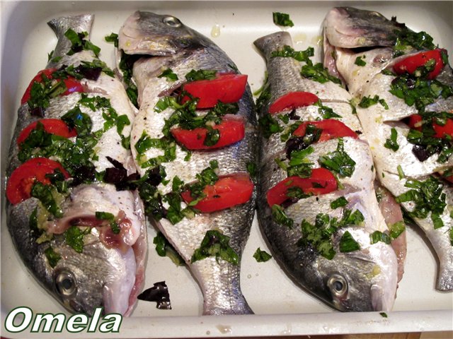 Dorada with spices in Italian