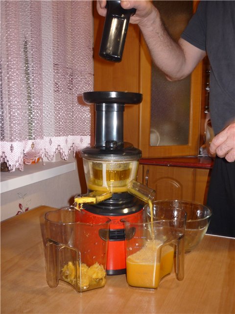 Auger juicer Brand 9100