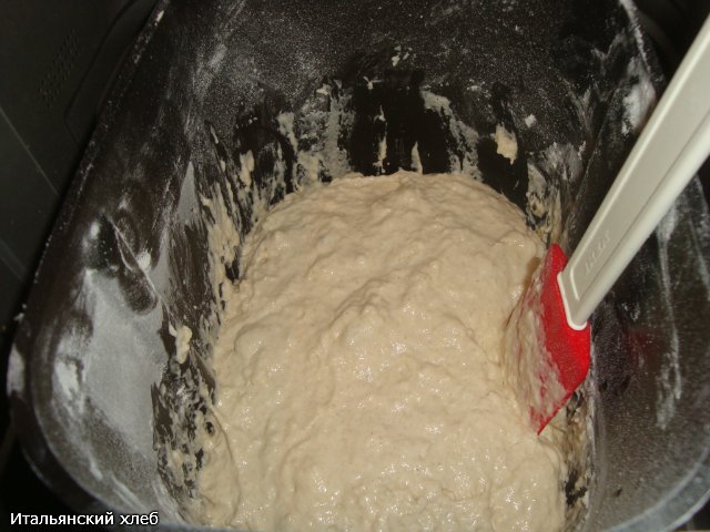 Italian bread (Ann Thibeault) in the oven