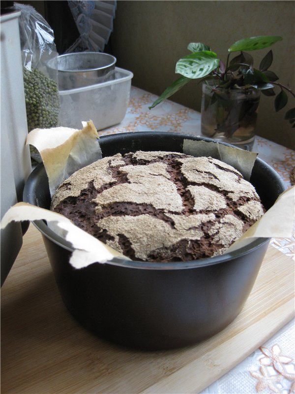 Sourdough rye tinapay sa isang gumagawa ng tinapay