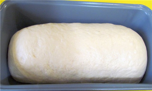 White Mountain Bread (Beth Hensperger) (al forno)