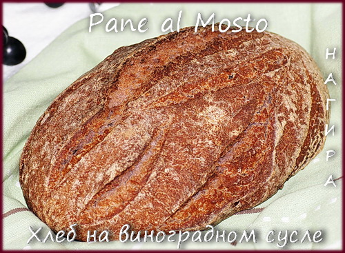 Pane al Mosto - Pan de mosto de uva