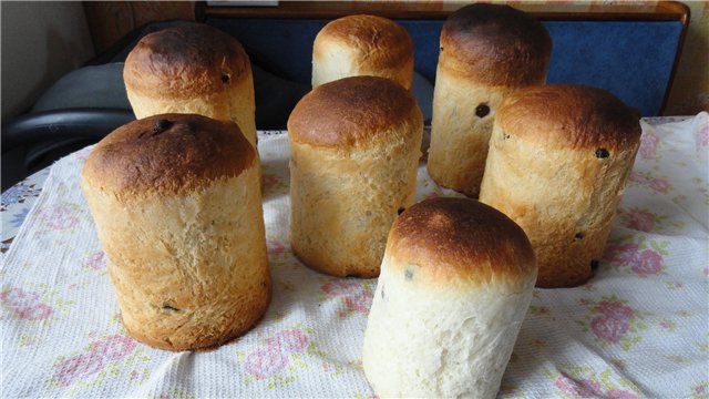 Kulich Myasoedovskaya-val a sütőben (mesterkurzus)