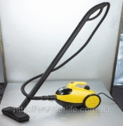 Steam cleaner (steam generator)