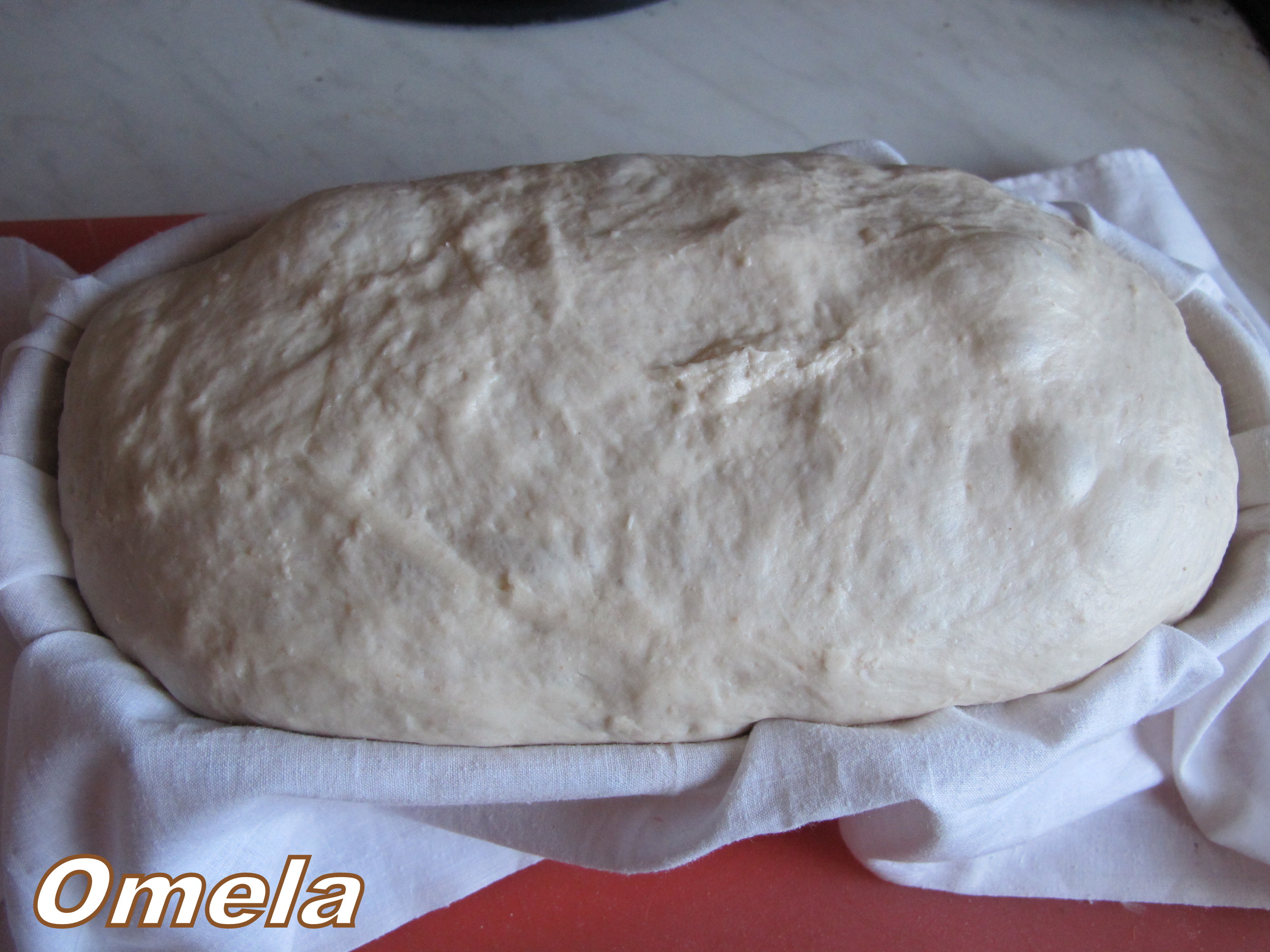 Pan de trigo sobre cerveza polaca según Bertina en el horno