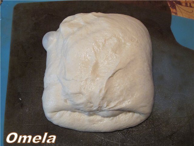 Pane di campagna (al forno)