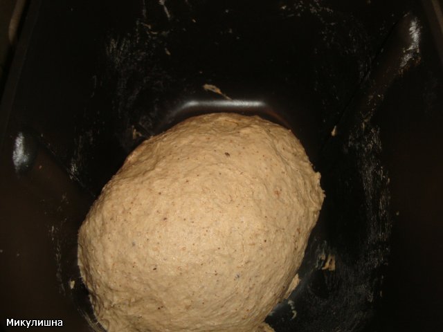 Pane di grano su mosto di segale kvas e pasta matura