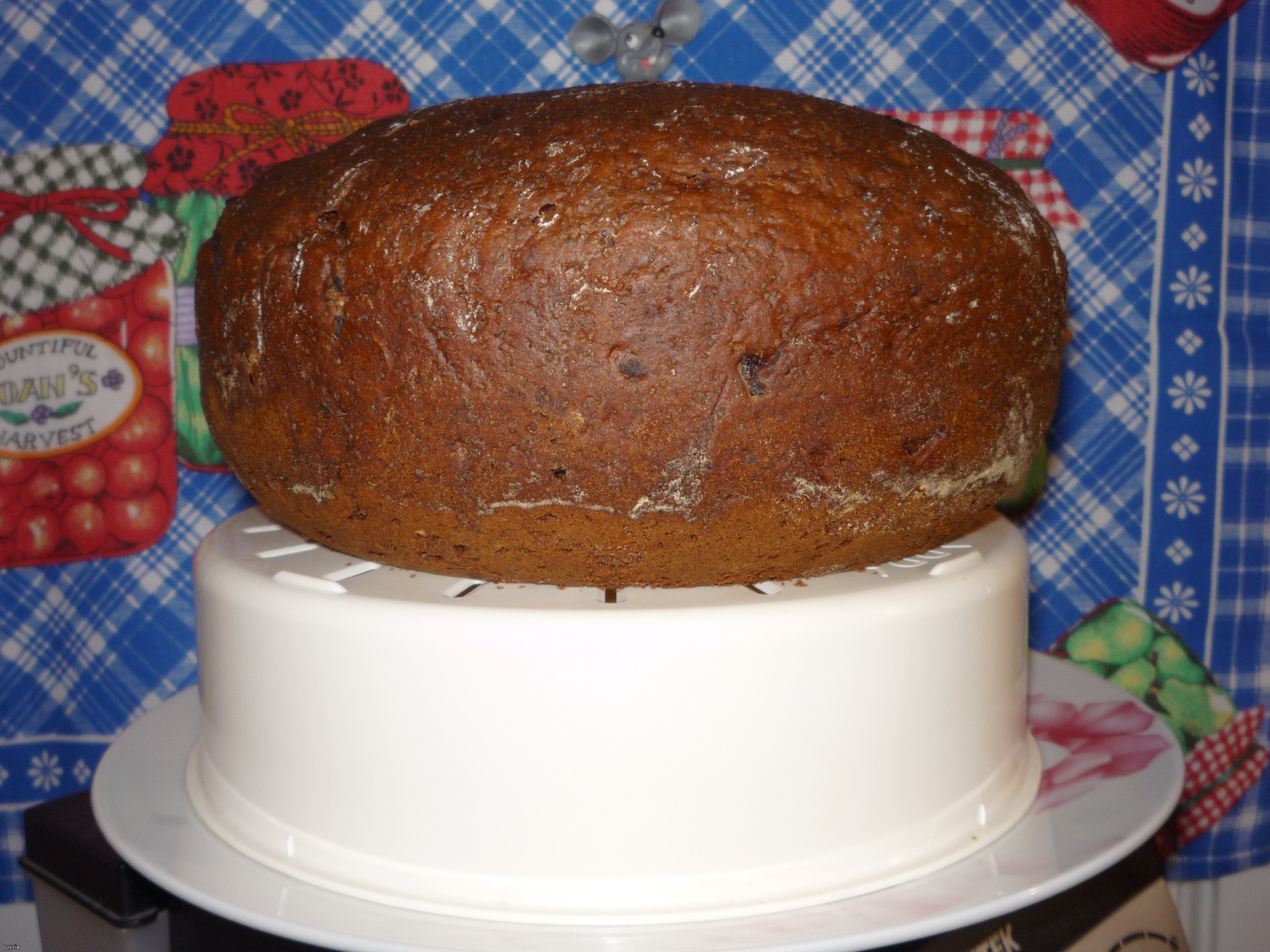 Pan de chocolate con cerezas y semillas de amapola