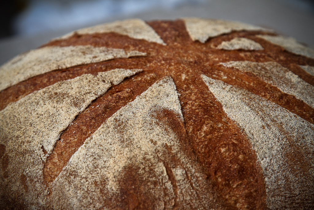 High-Extraction Flour Miche in the oven