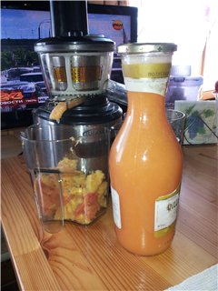 Vijzel juicer merk 9100